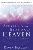 Angels in the Realms of Heaven Angels in the Realms of Heaven