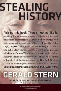 Stealing History - Stern, Gerald