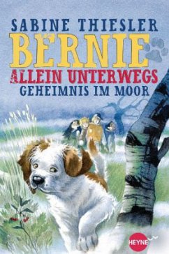 Geheimnis im Moor / Bernie allein unterwegs Bd.2 - Thiesler, Sabine