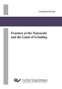 Fracture at the Nanoscale and the Limit of Grinding - Knieke, Catharina
