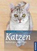 Katzen halten und verstehen