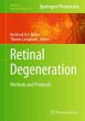 Retinal Degeneration - Bild 1