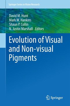 Evolution of Visual and Non-visual Pigments