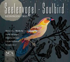 Cover Seelenvogel - Soulbird