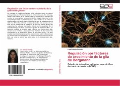 Regulación por factores de crecimiento de la glia de Bergmann