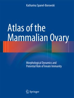 Cover Atlas of the Mammalian Ovary