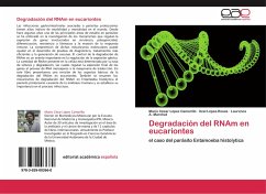 Degradación del RNAm en eucariontes - López Camarillo, Mario César;López-Rosas, Itzel;Marchat, Laurence A.