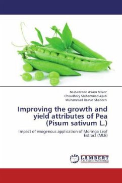 Improving the growth and yield attributes of Pea (Pisum sativum L.) - Pervez, Muhammad Aslam;Ayub, Choudhary Muhammad;Shaheen, Muhammad Rashid