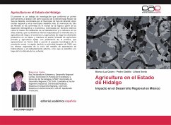 Agricultura en el Estado de Hidalgo - Castro, Blanca Luz;Castillo, Pedro;Sordo, Liliana
