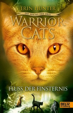 Fluss der Finsternis / Warrior Cats Staffel 3 Bd.2 - Hunter, Erin