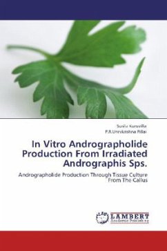 In Vitro Andrographolide Production From Irradiated Andrographis Sps. - Kuruvilla, Susila;Pillai, P.R.Unnikrishna