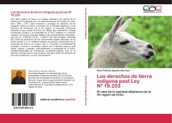 Los derechos de tierra indígena post Ley Nº 19.253