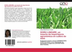 DORU LINEARE, un insecto de importancia agronómica en cultivo de maíz