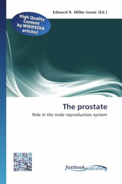 The prostate