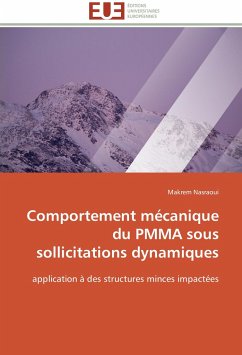 Comportement mécanique du PMMA sous sollicitations dynamiques - Nasraoui, Makrem