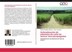 Aclimatización de plántulas de caña de azúcar micropropagadas - Rodríguez Sánchez, Romelio;González, Justo L.