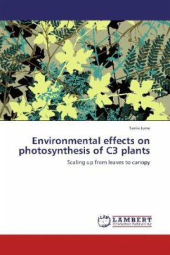 Environmental effects on photosynthesis of C3 plants