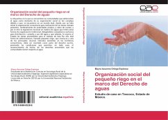 Organización social del pequeño riego en el marco del Derecho de aguas - Ortega Espinosa, Mayra Azucena