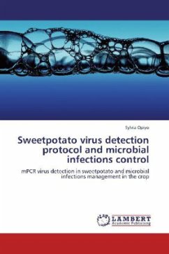 Sweetpotato virus detection protocol and microbial infections control