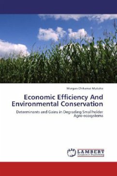 Economic Efficiency And Environmental Conservation - Mutoko, Morgan Chikamai