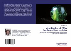 Identification of EBNA binding cellular proteins - Kashuba, Elena