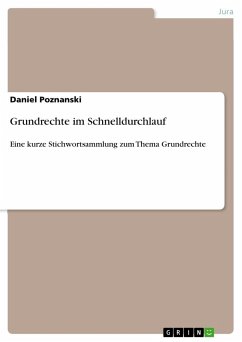 Grundrechte im Schnelldurchlauf - Poznanski, Daniel