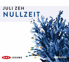 Nullzeit, 4 Audio-CDs - Zeh, Juli