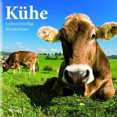 Kühe