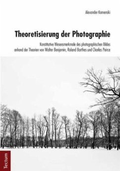 Theoretisierung der Photographie - Kamenski, Alexander