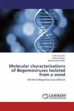 Molecular characterizations of Begomoviruses Isolated from a weed - Qurashi, Fasiha;Haider, Saleem;Shafiq, Muhammad