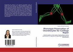 Phenotype Preservation of Chondrocytes for Cartilage Repair - Sánchez-Fernández, Natalia