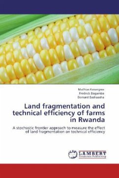 Land fragmentation and technical efficiency of farms in Rwanda - Karangwa, Mathias;Bagamba, Fredrick;Bashaasha, Bernard