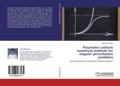 Parameter uniform numerical methods for singular perturbation problems