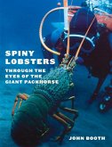 Spiny Lobsters: Through the Eyes of the Giant Packhorse