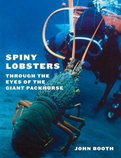 Spiny Lobsters: Through the Eyes of the Giant Packhorse - Booth, John