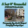 A Lot O' Granada, A Kid's Guide To... - Bild 1