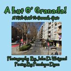 A Lot O' Granada, A Kid's Guide To Granada, Spain