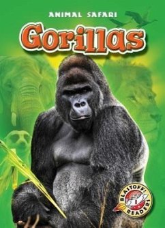 Gorillas - Zobel, Derek