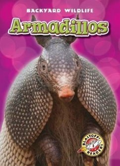 Armadillos - Schuetz, Kari