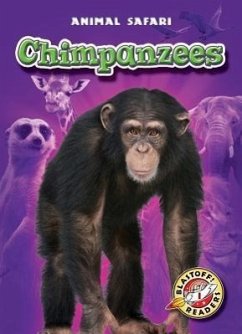 Chimpanzees - Zobel, Derek