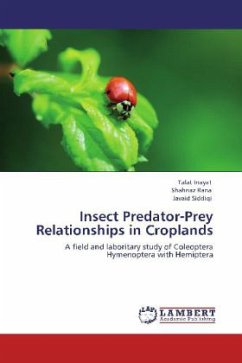 Insect Predator-Prey Relationships in Croplands