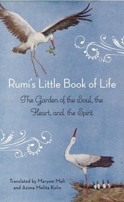 Rumi's Little Book of Life - Rumi