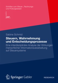 Steuern, Wahrnehmung und Entscheidungsprozesse - Schmid, Sabine