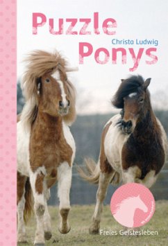 Puzzle-Ponys - Ludwig, Christa