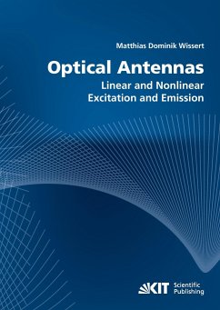 Optical antennas : linear and nonlinear excitation and emission - Wissert, Matthias