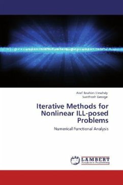 Iterative Methods for Nonlinear ILL-posed Problems - Elmahdy, Atef Ibrahim;George, Santhosh