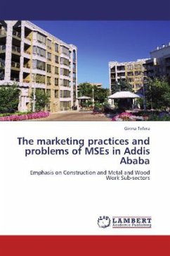 The marketing practices and problems of MSEs in Addis Ababa