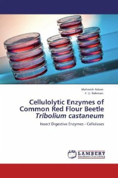 Cellulolytic Enzymes of Common Red Flour Beetle - i<Tribolium castaneum