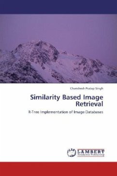 Similarity Based Image Retrieval