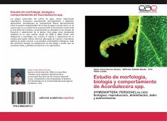 Estudio de morfología, biología y comportamiento de Acordulecera spp. - García Sinche, Saola Yanet;Catalán Bazán, Wilfredo;Yábar Landa, Erik